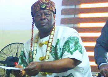 Don’t Bring Shame To Nigeria, Ndi Eze Ndigbo Tells Igbos In Diaspora
