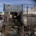 Fire Razes Shops, Goods In Yobe Market 5 Fire Razes Shops, Goods In Yobe Market