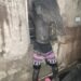 Man, 41, Dies, Property Destroyed In Kwara Fire Outbreak 8 Man, 41, Dies, Property Destroyed In Kwara Fire Outbreak