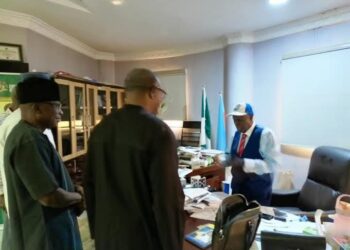 Farotimi: Sowore Lambasts Peter Obi, Others For ‘Begging’ Afe Babalola