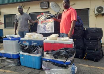 NDLEA Seizes Multi-billion Naira Meth, Cannabis Shipments At Lagos Port