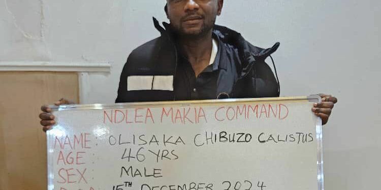 NDLEA Arrests Businessman For Body-packing Large Consignment Of Cocaine At Kano Airport