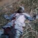 Troops Kill Terrorist Kingpin Alh Ma’oli, Fighters In Zamfara