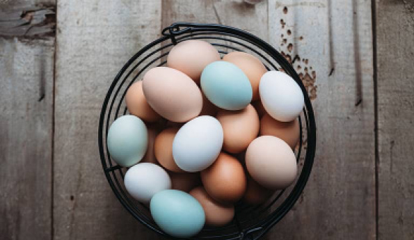 Seven Tips On Facts About Eggs 1 eggs