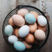 Seven Tips On Facts About Eggs