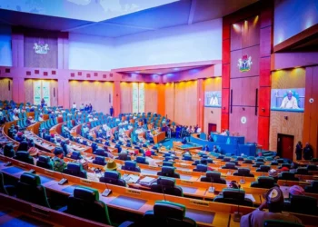 Reps Probe Customs Over Alleged Smuggling, Brutality