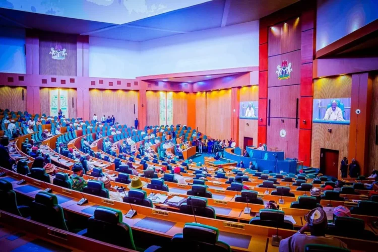 Reps Advocate Tax Incentives For Small Businesses In FCT