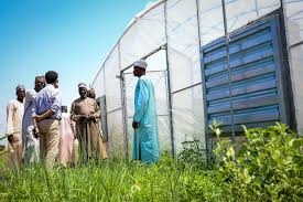 France, Jigawa Polytechnic Train Women On Modern Farming