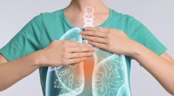 lungs