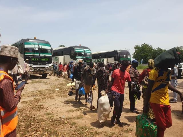 60,000 Nigerians Stranded In West/Central Africa Have Returned Home – Migration Body 1 niger returnee