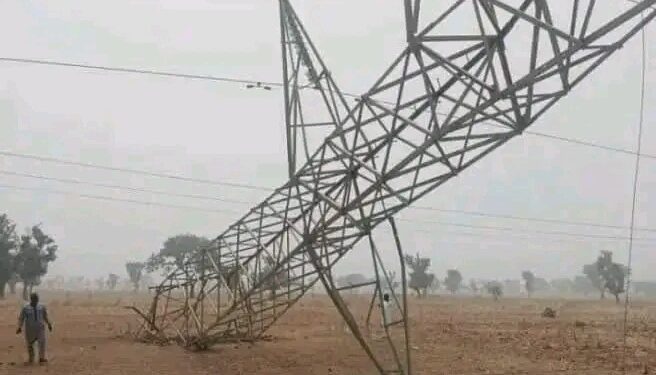 Power Sector