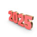 Expectations And Imperatives For 2025 5 Expectations And Imperatives For 2025