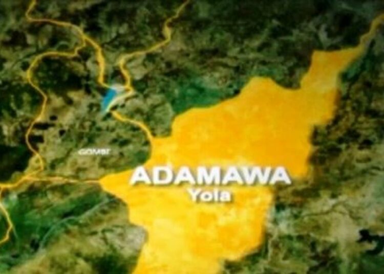 Adamawa