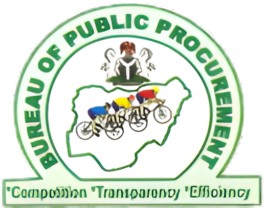 BPP Strengthening Audit Systems To Curb Corruption 1 BPP LOGO 2 1