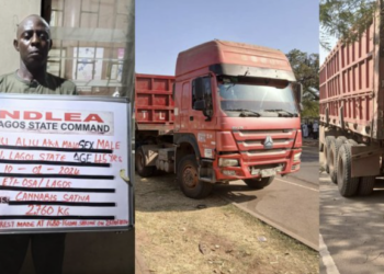 NDLEA Arrests Chief Priest After 2,760kg Skunk Discovered In Lagos Shrine