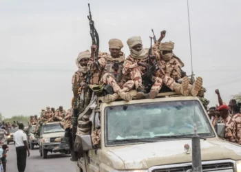Scores Killed In Foiled Terrorists’ Attack On Chadian Presidential Palace