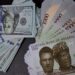 Naira Loses 69%, Closes 2024 Weaker At N1,535/$1 5 Naira Loses 69%, Closes 2024 Weaker At N1,535/$1