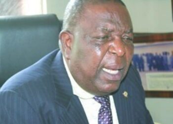 Prioritise Agriculture To Boost Economy – Ex-ANAN President Urges FG