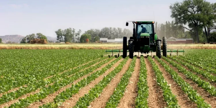 Agric Stocks