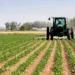 Investors Gain N468.56bn In Agric Stocks