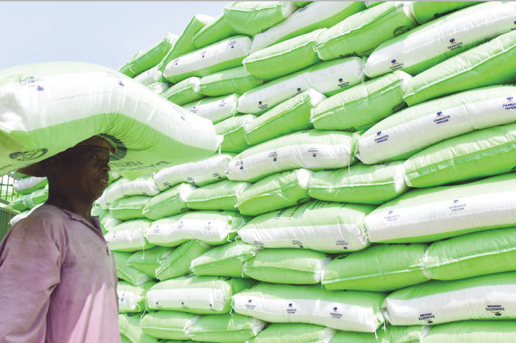 Reps Member Distributes 2,566 Bags Of Fertiliser To Farmers 1 Fertiliser 750x499 1