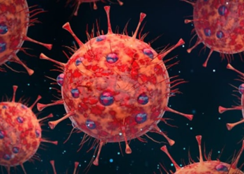 HMPV: India Detects Cases In 2 Infants