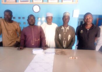 Police Arrest 5 Over Alleged Criminal Conspiracy, Fraud In Yobe
