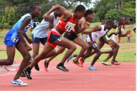 73 Schools Ready For Gombe Inter-schools Athletics Championships 1 IMG 20250113 WA00061