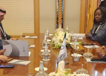 FG, S’Arabia Renews Plans For Mining Sector Collaboration