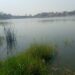 Man Drowns While Fetching Water In Kano Puddle