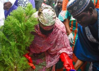 Climate Change: Kaduna To Plant 10m Trees In 4 Years