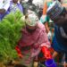 Climate Change: Kaduna To Plant 10m Trees In 4 Years