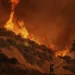 LA Wildfire: 2 Fake Firefighters, 18 Others Arrested For Looting Evacuated Homes