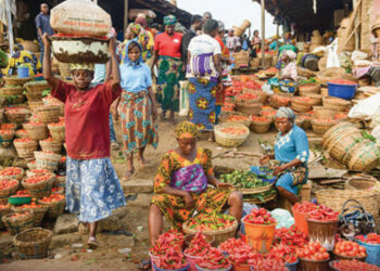 Experts Blame Food Crisis In Nigeria On Soil Degradation, Others