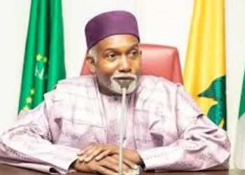Nigeria Will Not Undermine Sovereignty Of Niger Republic – FG