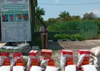 Nasarawa To Distribute Relief Materials To Flood Victims