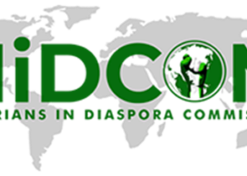 Nigerians In Diaspora Invest $90bn In Economy – Commission