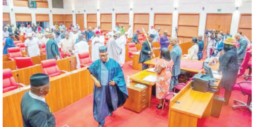 Knocks Over Planned NASS Zonal Offices