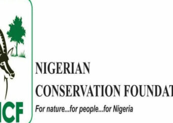 NCF To Award Grants To PhD Students