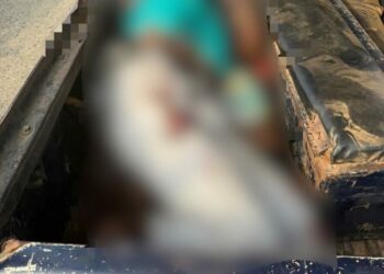 Police Rescue Wife Of Retired AIG Odumosu, Neutralise Kidnappers