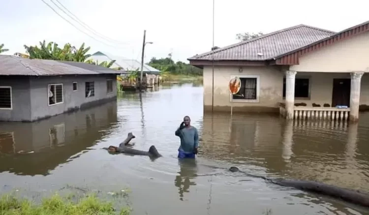 Flood