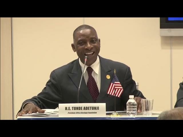 Nigeria’s Economic Recovery Lies On Patriotism, Diaspora’s Influence – Experts 1 Tunde Adetunji