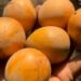 Why Pregnant Women Crave Udara: Separating Myth From Reality 5 Why Pregnant Women Crave Udara: Separating Myth From Reality