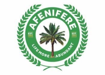 Afenifere Lauds Govs, Federal Gov’t Over Agreement On Tax Reform Bills