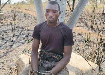 TCN Hails Benue Community For Stopping Vandals’ Attack On Ugwuaji-Makurdi 330kV Line