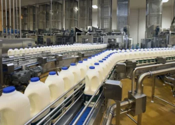 Yoghurt Production As Revenue Spinner