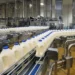 Yoghurt Production As Revenue Spinner