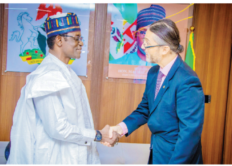 Yobe Governor  Mai Mala Buni (left) and the Swiss Deputy Ambassador to Nigeria, Siamak Rouhani, during a visit to the Government House Damaturu