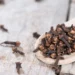 Health Benefits Of Cloves