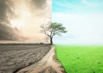 Flourishing Businesses To Float In Dry Season